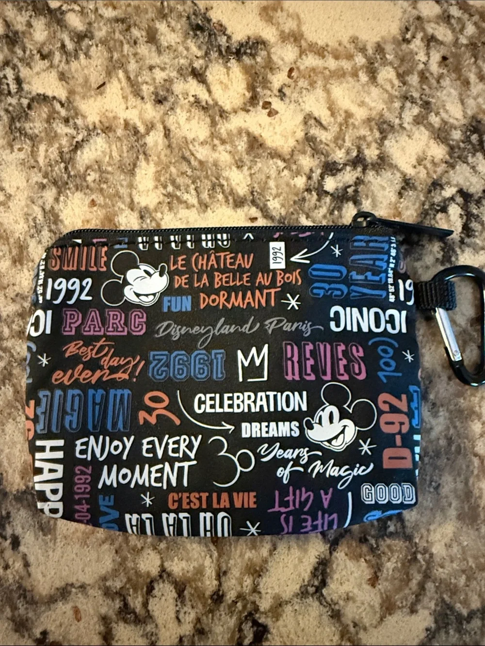 Disneyland Paris 30th anniversary Black Zip Pouch